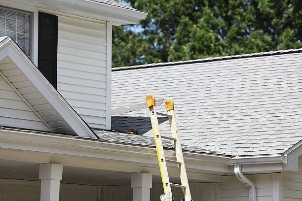 Best Hoarding Cleanup  in Branchville, SC